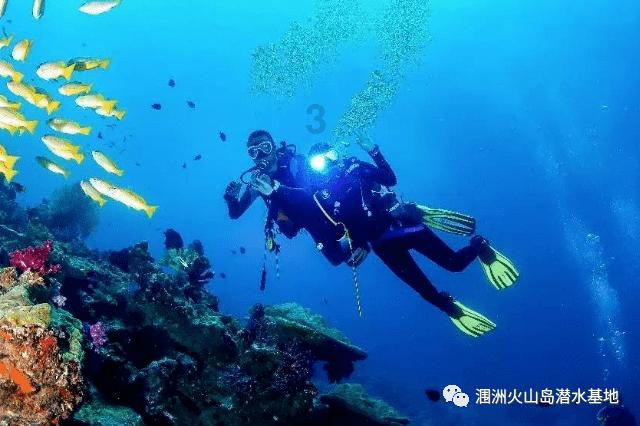 桃花侠守卫战
